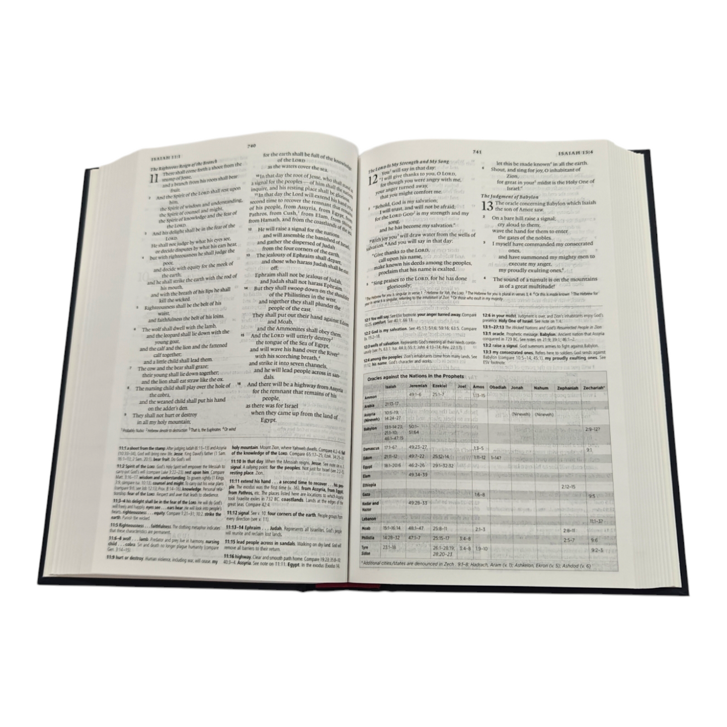 ESV Concise Study Bible, 12,000+ Study Notes, 150+ Maps & Charts, Book Introductions, Compact Portable Study Bible (English Standard Version) |