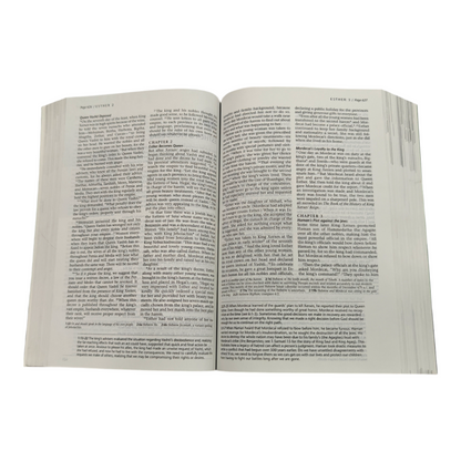 NLT Life Recovery Bible, Second Edition, 12-Step Recovery Study Bible with 84 Devotionals, Recovery Notes & Meeting Guide (New Living Translation)