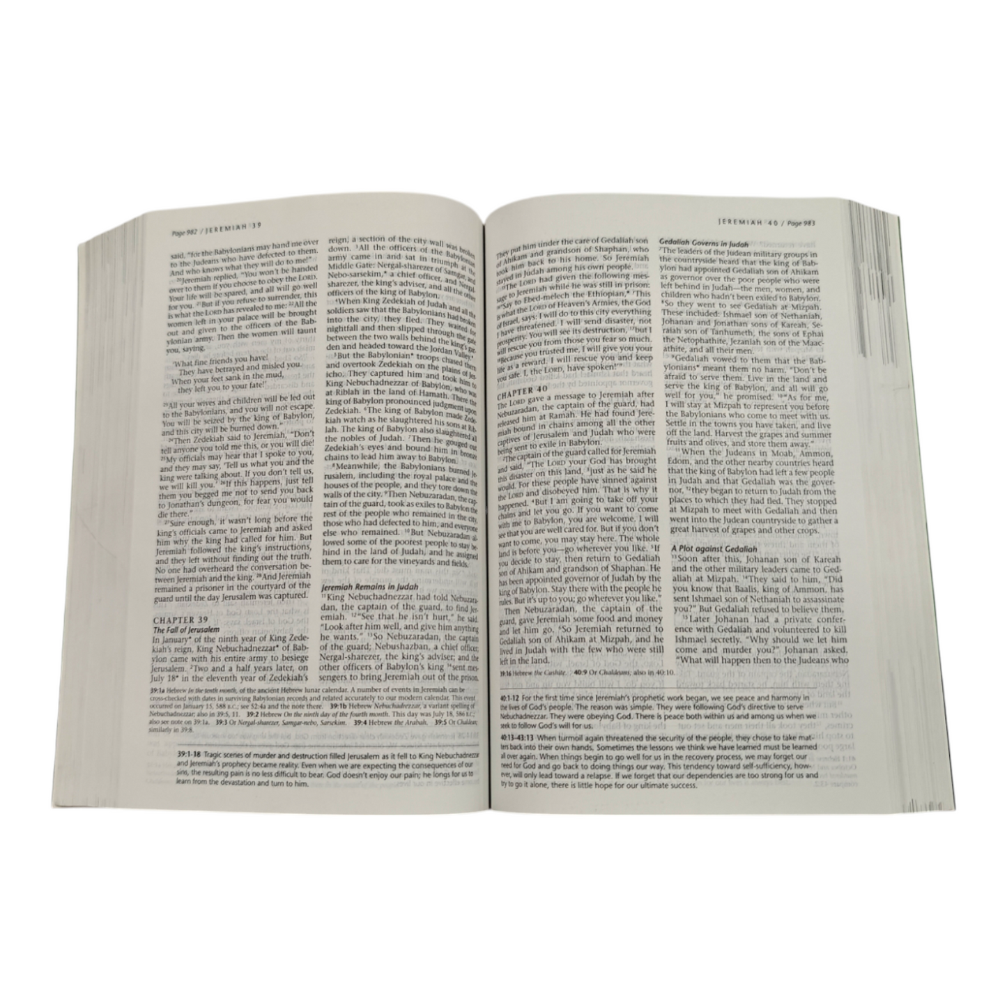 NLT Life Recovery Bible, Second Edition, 12-Step Recovery Study Bible with 84 Devotionals, Recovery Notes & Meeting Guide (New Living Translation)