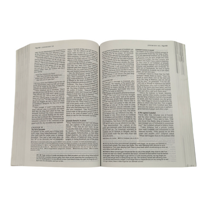 NLT Life Recovery Bible, Second Edition, 12-Step Recovery Study Bible with 84 Devotionals, Recovery Notes & Meeting Guide (New Living Translation)