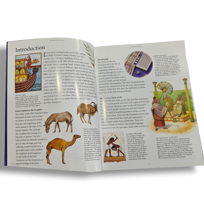 Children's Old Testament Illustrated Bible | Children's Illustrated Bible, Illustrated Bible | English Christian Book