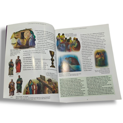 Children's New Testament Illustrated Bible | Children's Illustrated Bible, Illustrated Bible | English Christian Book
