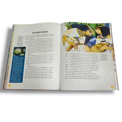 Treasury of Bible Stories | Bible Stories, Bible Story Book | English Christian Book