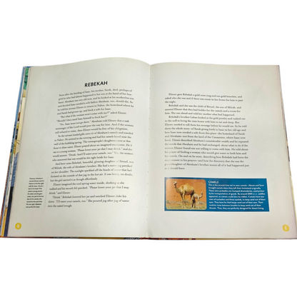 Treasury of Bible Stories | Bible Stories, Bible Story Book | English Christian Book