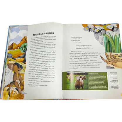 Treasury of Bible Stories | Bible Stories, Bible Story Book | English Christian Book
