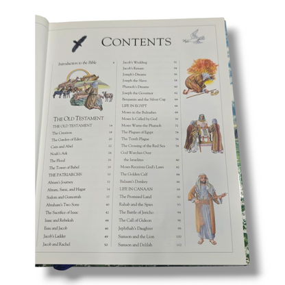 The Children's Illustrated Bible | Children's Illustrated Bible, Illustrated Bible | English Christian Book