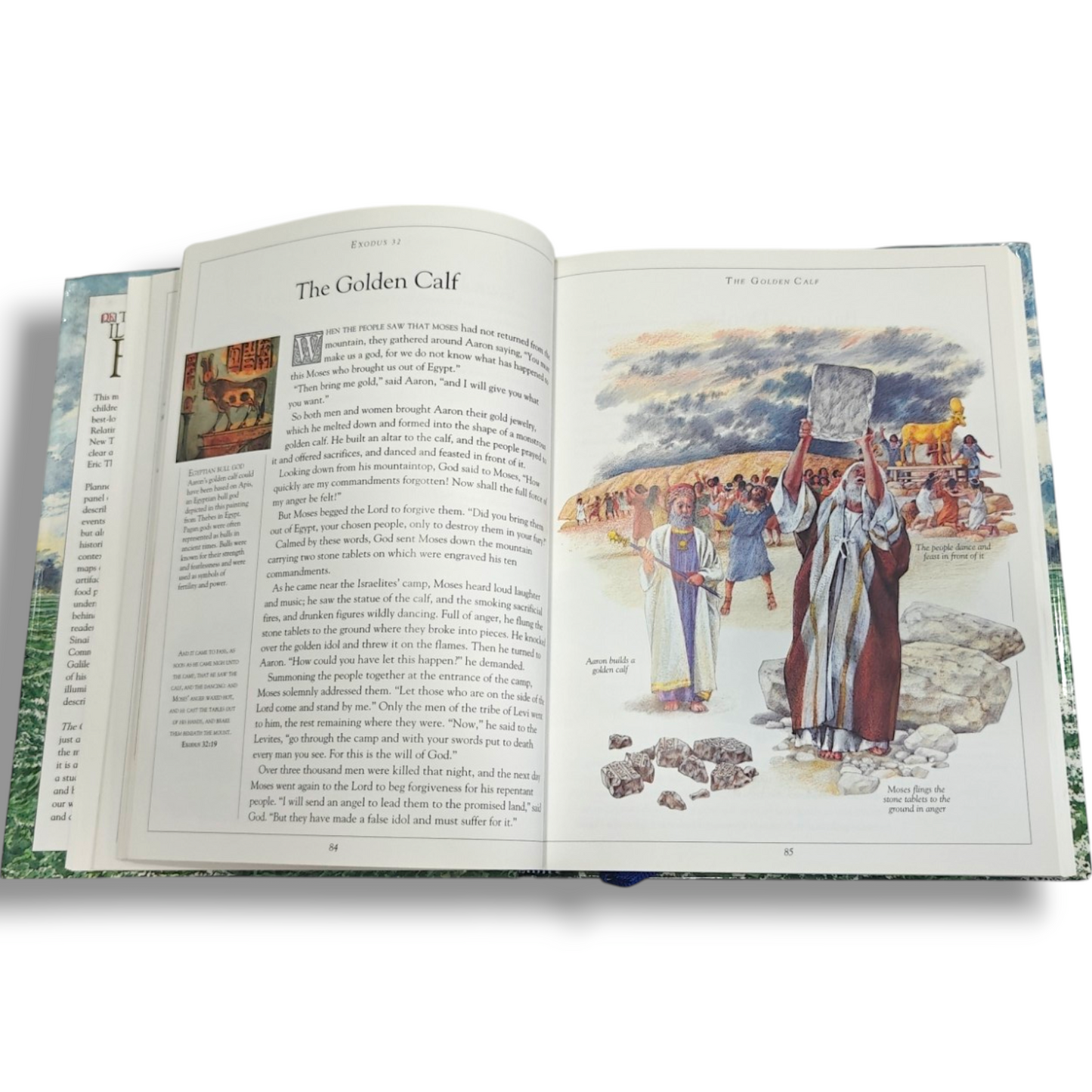 The Children's Illustrated Bible | Children's Illustrated Bible, Illustrated Bible | English Christian Book