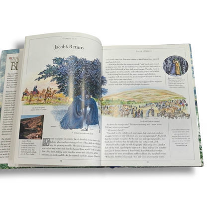 The Children's Illustrated Bible | Children's Illustrated Bible, Illustrated Bible | English Christian Book