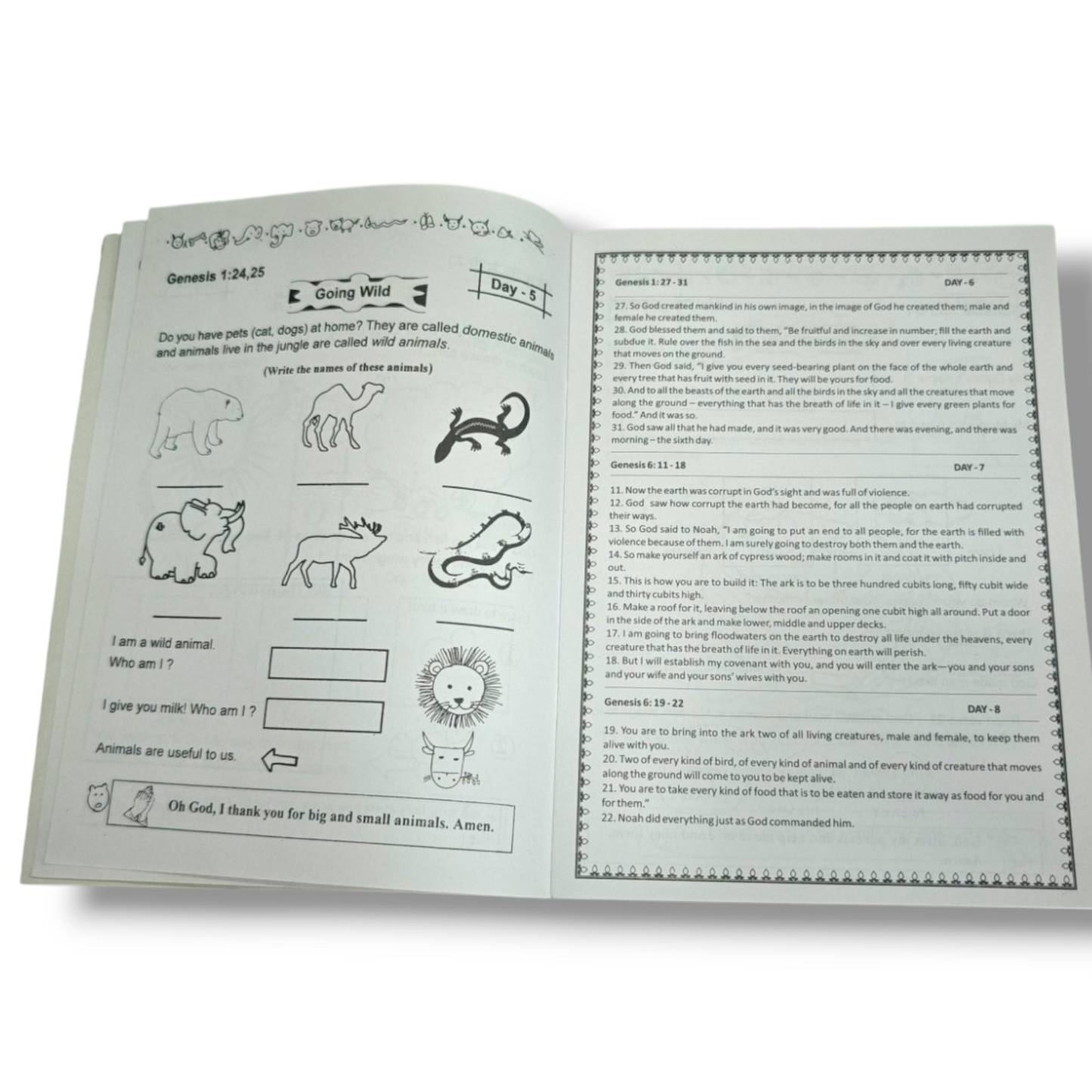God Provides | Scripture Union Bible Learning Book for Children | English Christian Book