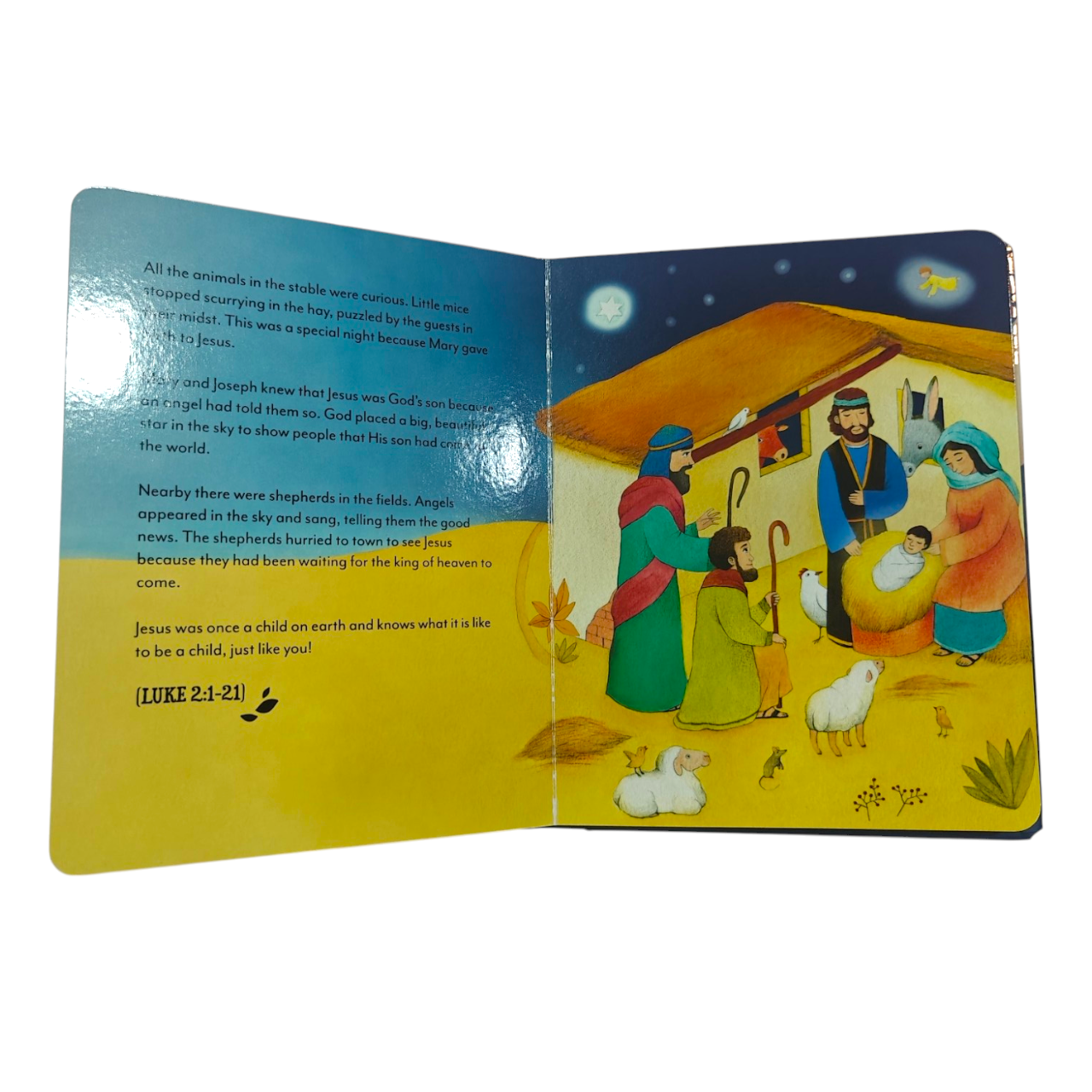 The Picture Bible for Little Ones | Danish Board Book Bible for Babies & Toddlers, Ages 1–5 | Danish Holy Bible