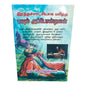 இரத்தச்சாட்சியாக மரித்த பவுல் அப்போஸ்தலன் | Tamil Christian Biography Book
