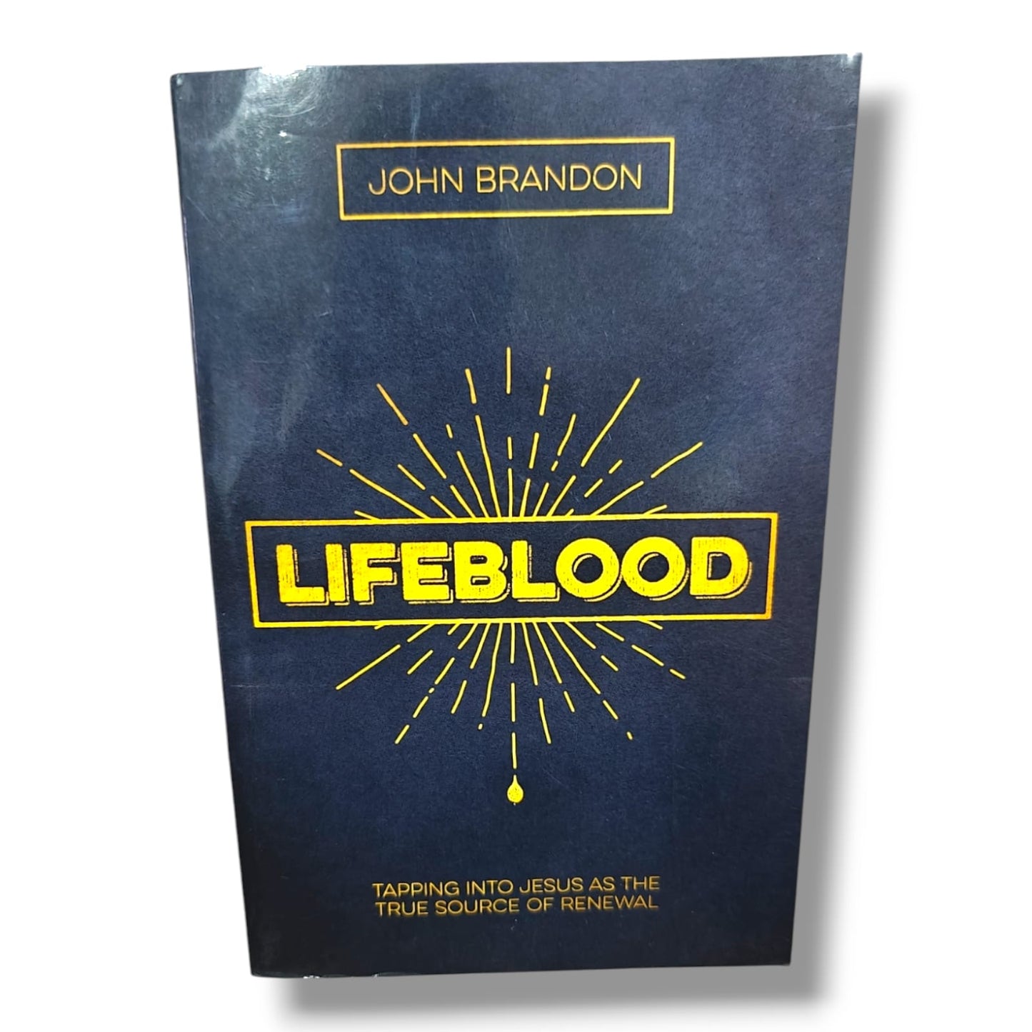 Lifeblood: Tapping Into Jesus as the True Source of Renewal by John Brandon | Christian Spiritual Growth, Christian Living & Discipleship Book |