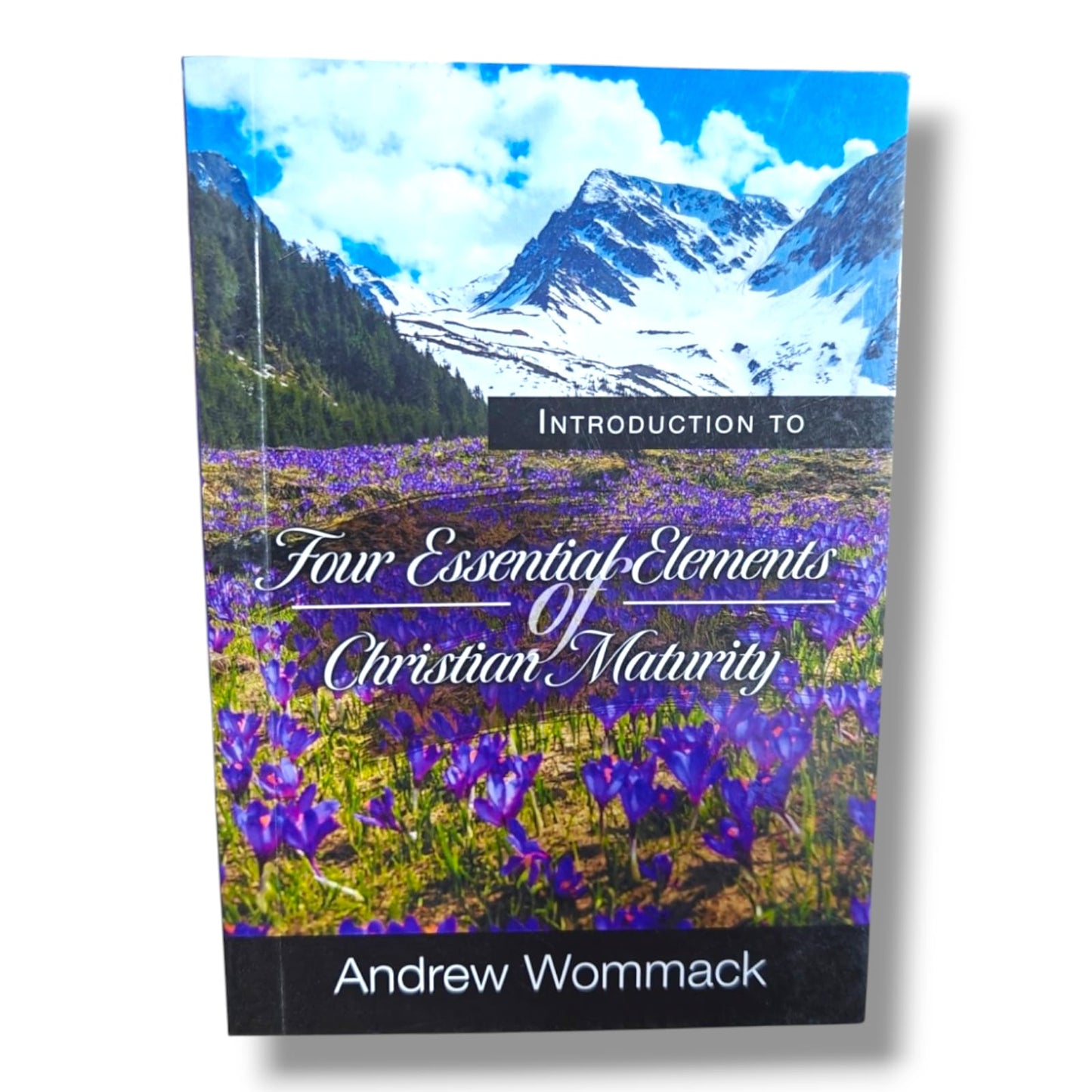 Introduction to Four Essential Elements of Christian Maturity by Andrew Wommack | Discipleship & Spiritual Growth Book