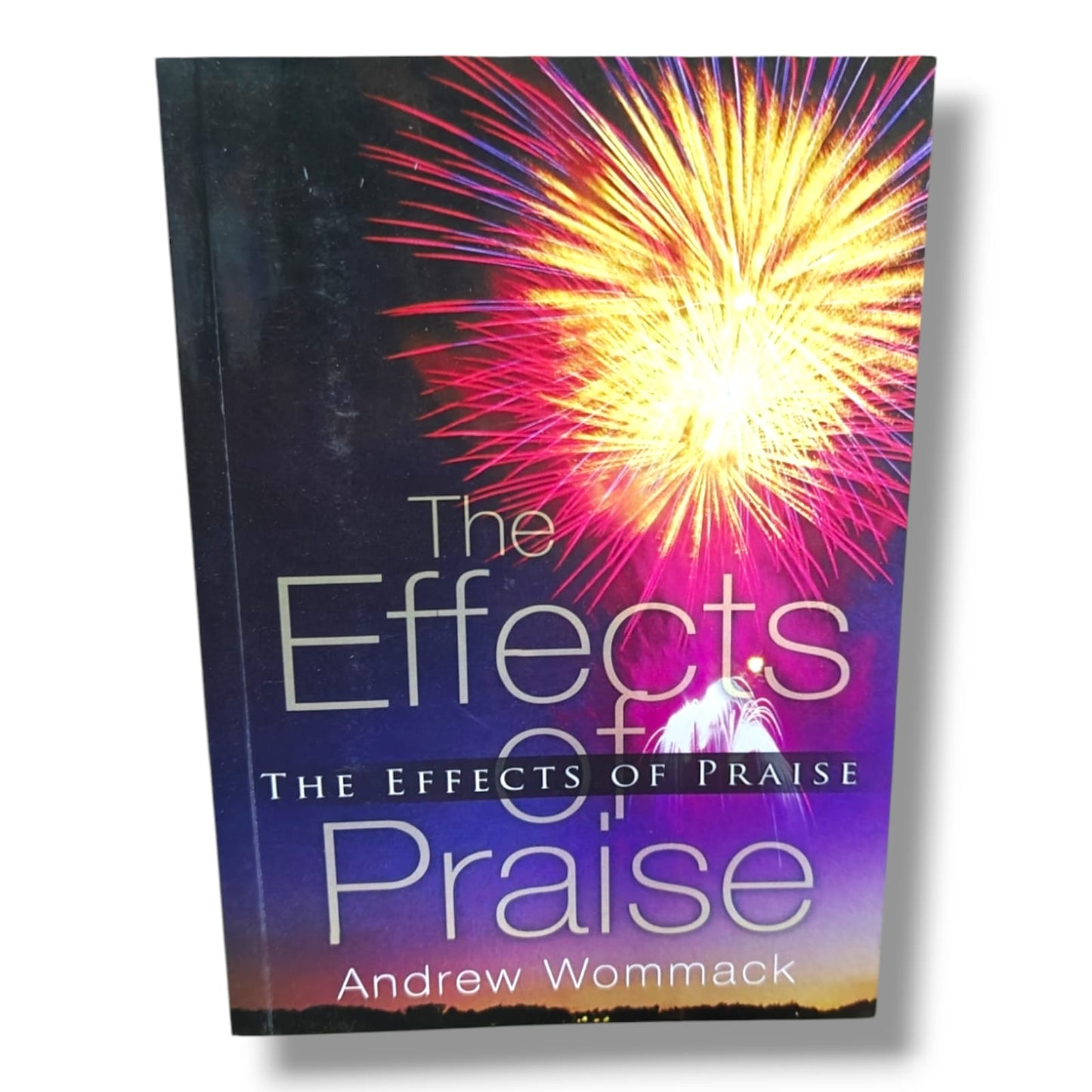 The Effects of Praise by Andrew Wommack | Christian Worship, Praise, Bible Study & Spiritual Growth Book