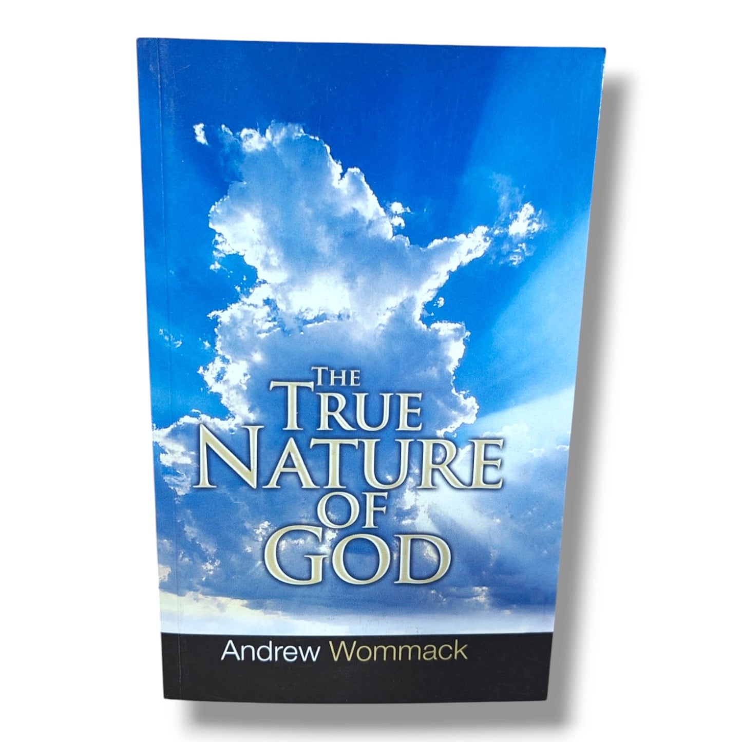 The True Nature of God by Andrew Wommack | Christian Theology, Bible Study & Spiritual Growth Book