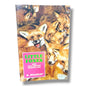 Little Foxes: Sins That Destroy Fruitful Life by R. Stanley | Christian Living, Holiness & Spiritual Growth Book