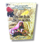 How to Evangelize the World in Our Generation? (Tamil) by R. Stanley | Tamil Evangelism, Missions & Gospel Outreach Book
