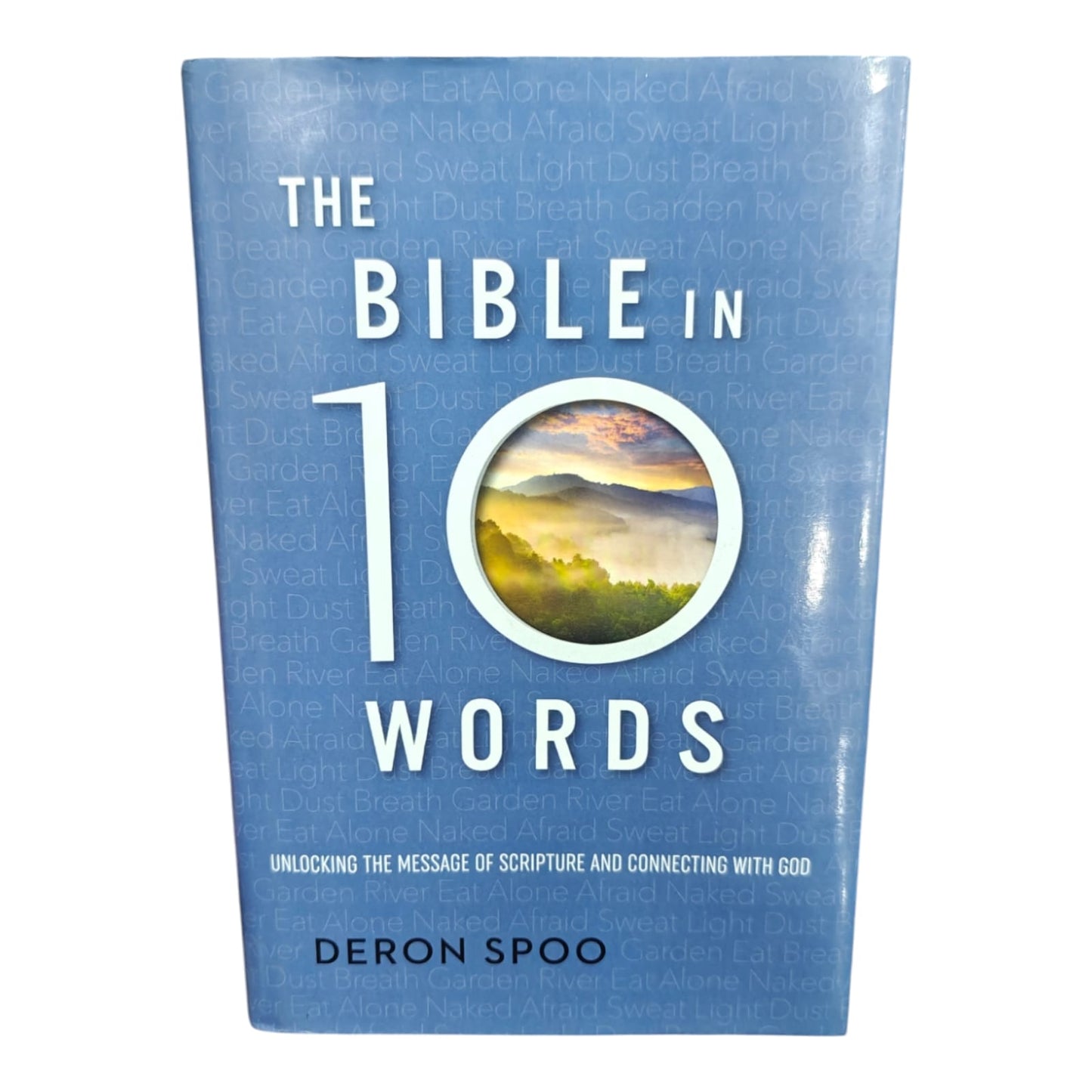 Bible in 10 Words: Unlocking the Message of Scripture and Connecting with God by Deron Spoo | Christian Bible Study Book | English Christian Book