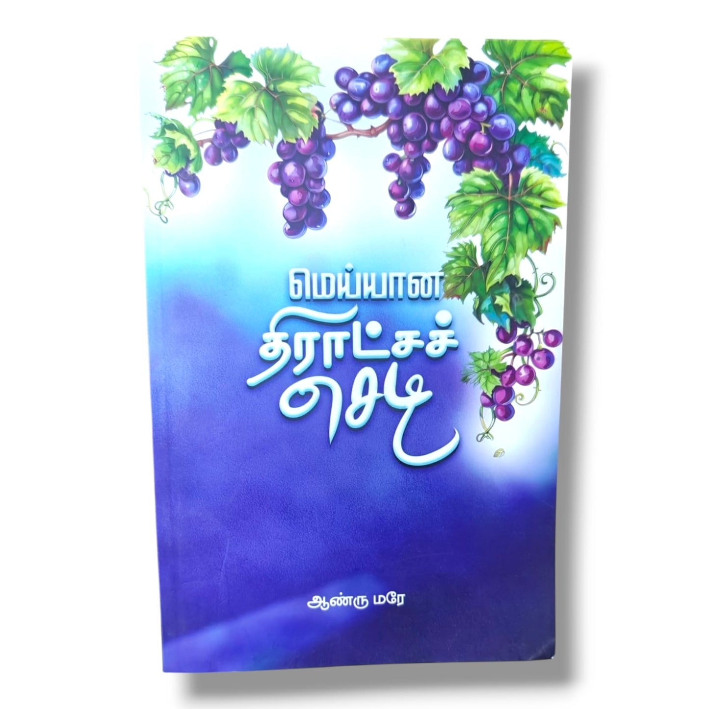 மெய்யான திராட்சச் செடி | Bible Study, Bible Commentary | Tamil Christian Book