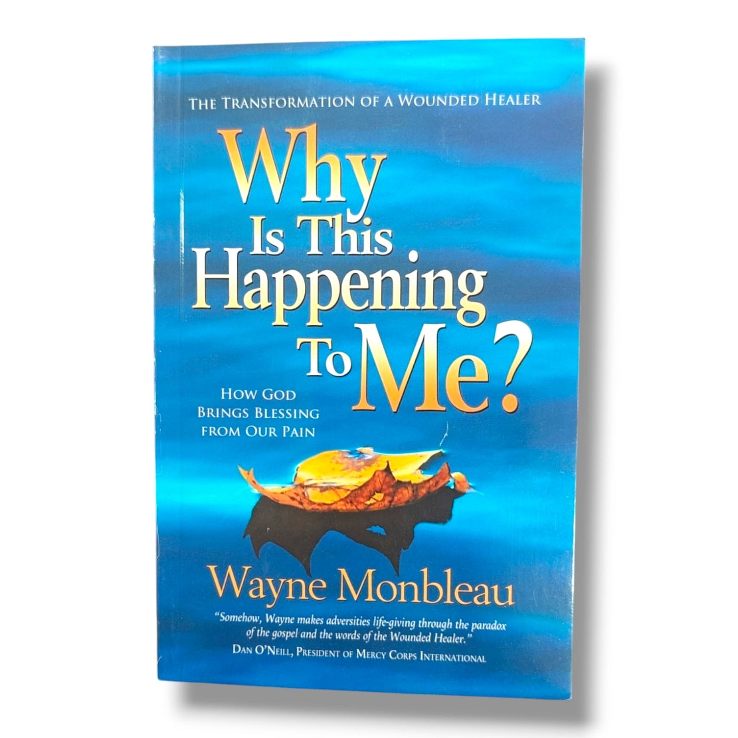 The Transformation of a Wounded Healer | Wayne Monbleau | English Christian Book