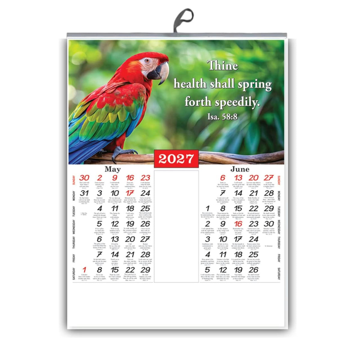 2027 English Scenery Wall Calendar – A Window to Wonder, Small 15 × 20