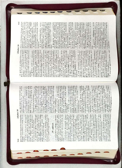 Korean Tamil Bible Large Print Edition: Burgundy Zip Cover, No Thumb Index (ISBN: 9788119796496)