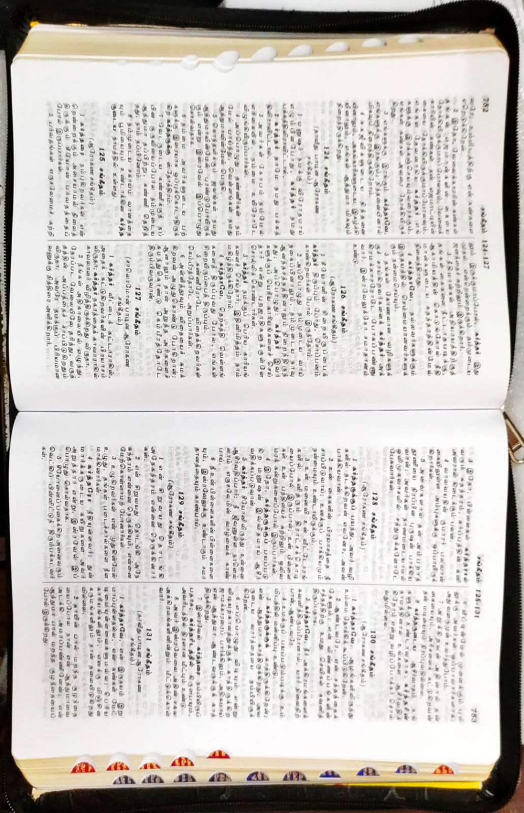 Premium Tamil Bible - Extra Large Print with Thumb Index, Dual-Tone Pink/Blue Cover, Zip Closure