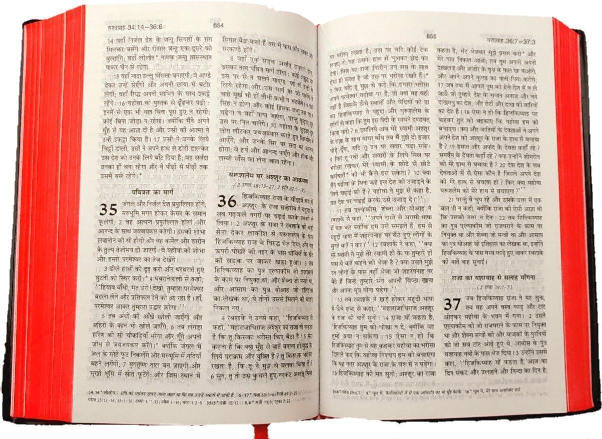 Hindi Holy Bible with New Testament Combo | Old & New Testament Set