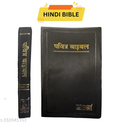 Hindi Holy Bible with Protective Cover - Premium Christian Gift Set
