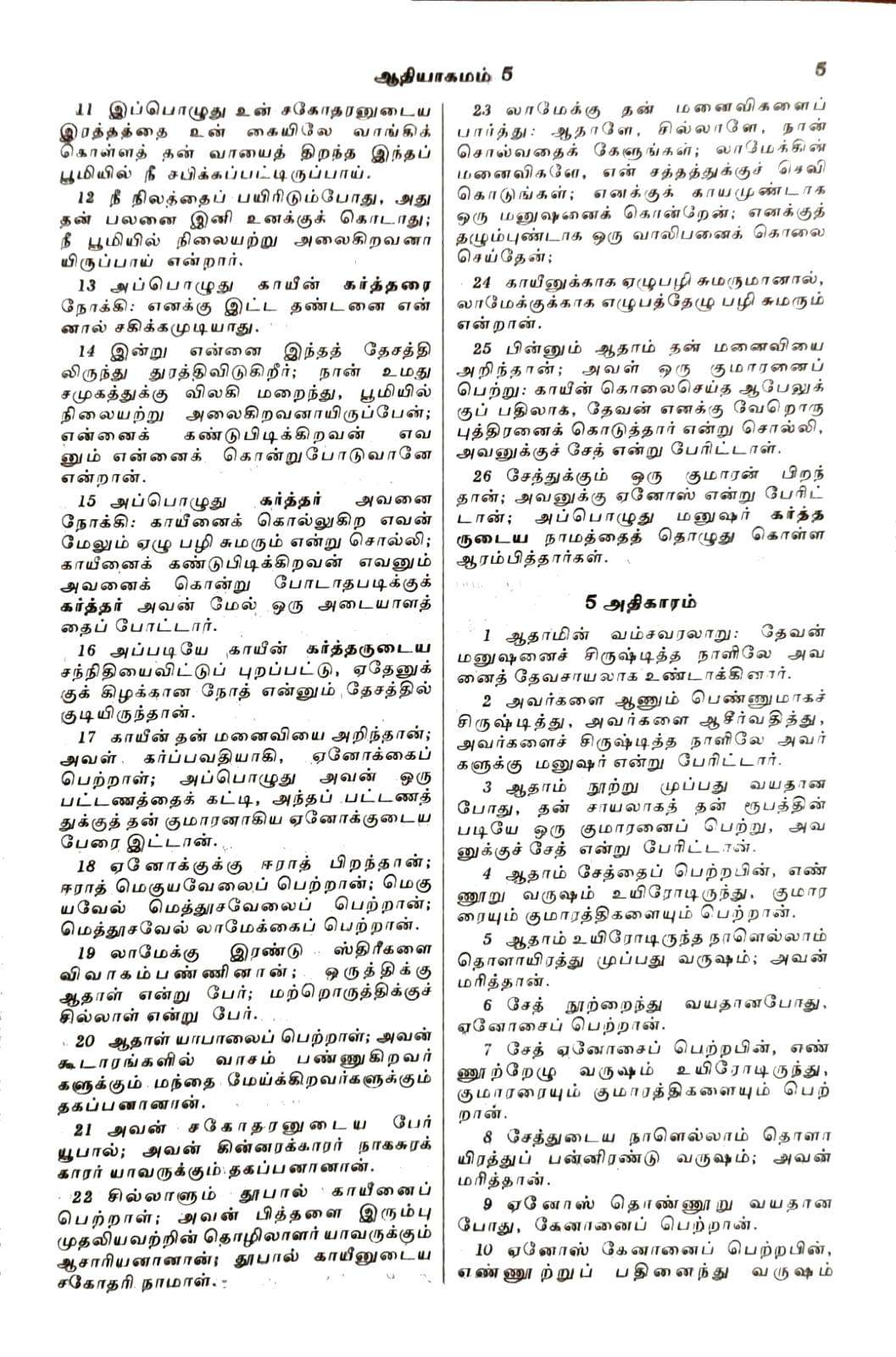 Tamil Bible Royal Size Large Print Edition - Maroon Hardbound BSI Authorized Version