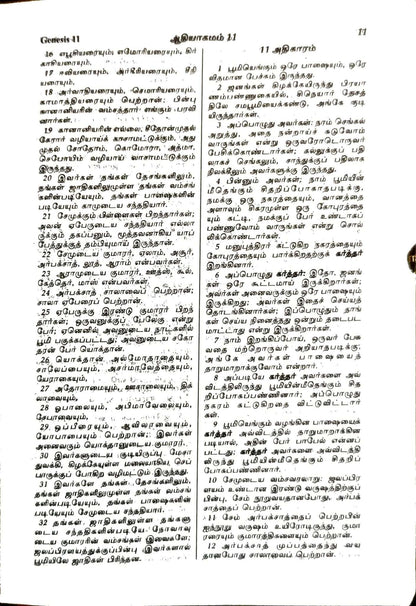 Tamil Bible Compact Edition - Black Zippered Cover with Thumb Indexing (BSI Standard)