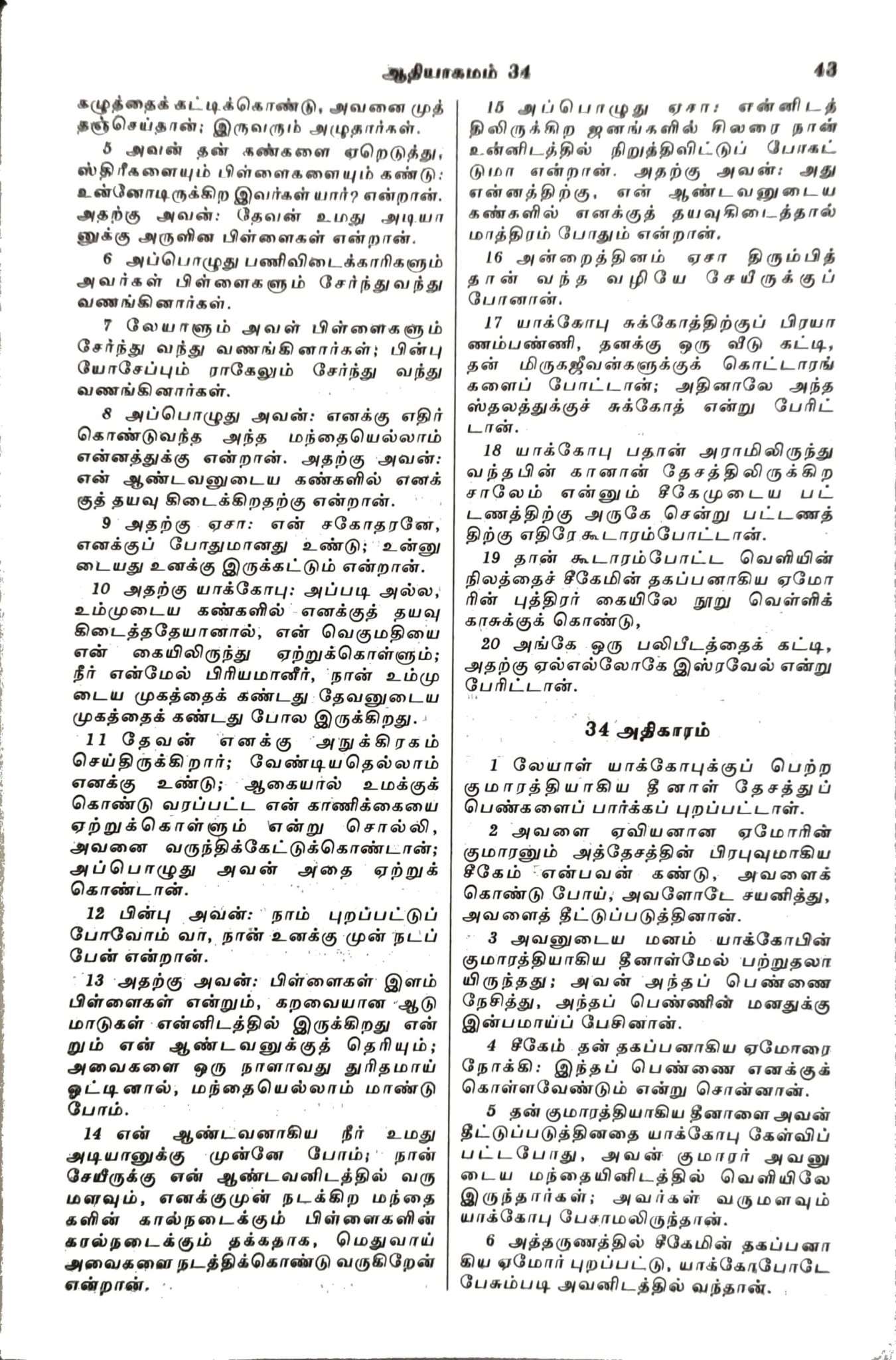 Tamil Bible Semi-Compact Edition, Brown Open-Type Cover with Thumb Index (ISBN: 9788119095742)