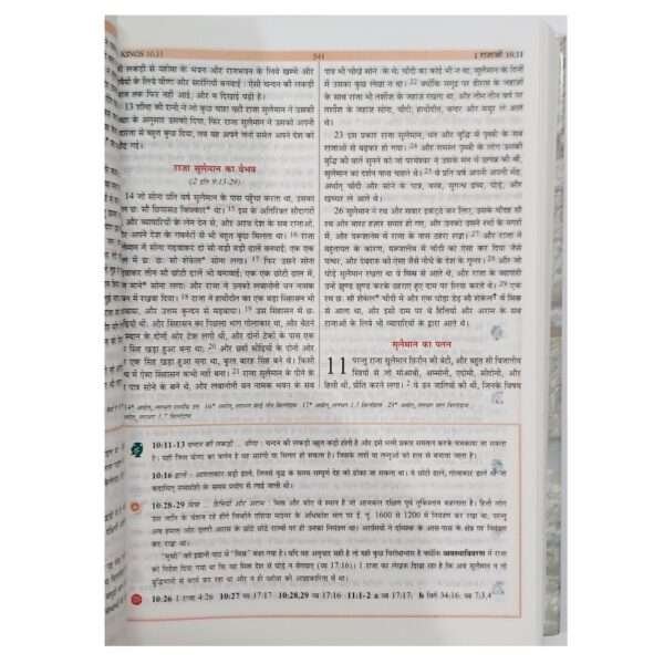 The Holy Hindi Study Bible