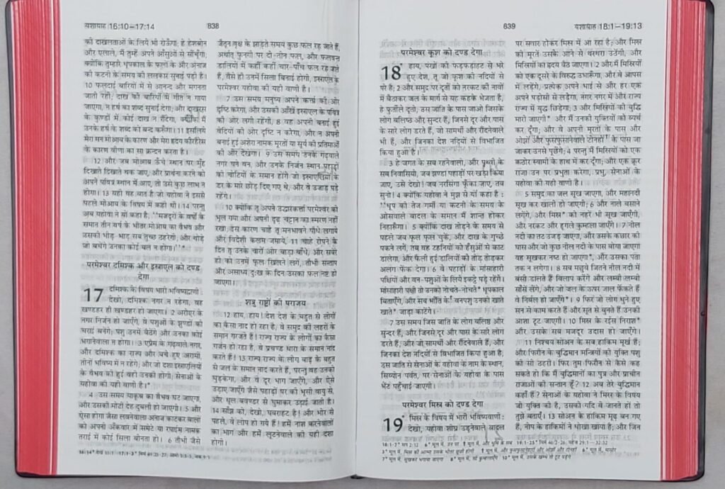 HINDI BIBLE NORMAL 