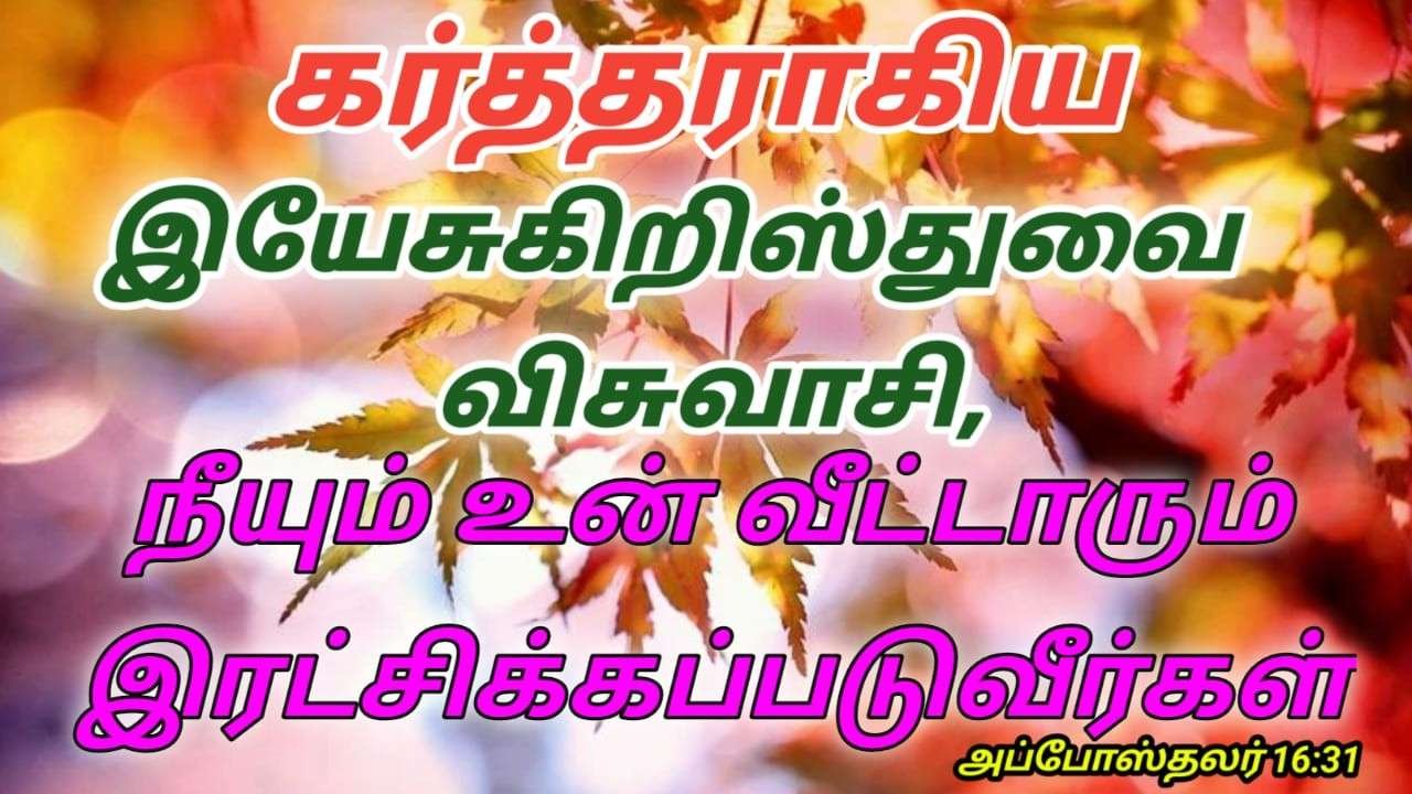 TAMIL BIBLE VERSE WALL LAMINATED POSTER - Proverbs In Tamil Bible,