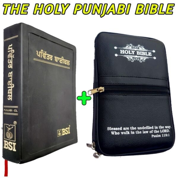 Punjab Bible With Leather Type Bible Cover Special Offer