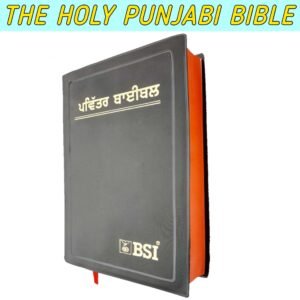 PUNJABI BIBLE