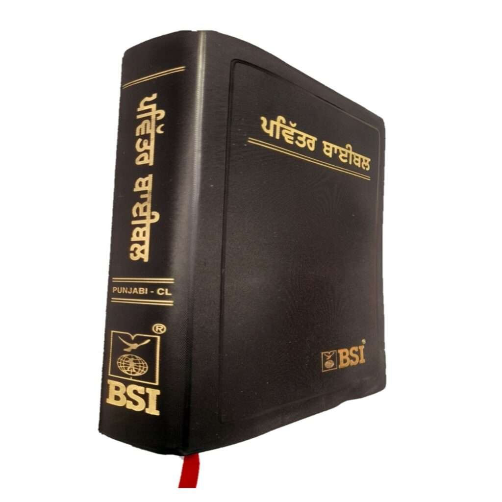 The Holy New Edition Punjabi Bible