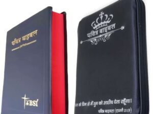 THE HOLY HINDI BIBLE WITH COVER