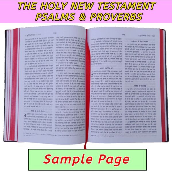 BEST NEW TESTAMENT BIBLE WITH PSALMS AND PROVERBS