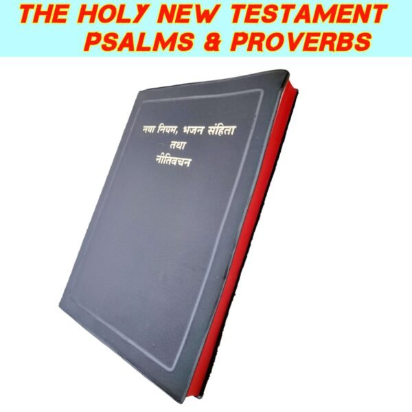 NEW TESTAMENT BIBLE IN HINDI