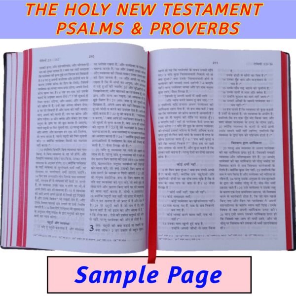 HINDI NEW TESTAMENT BIBLE