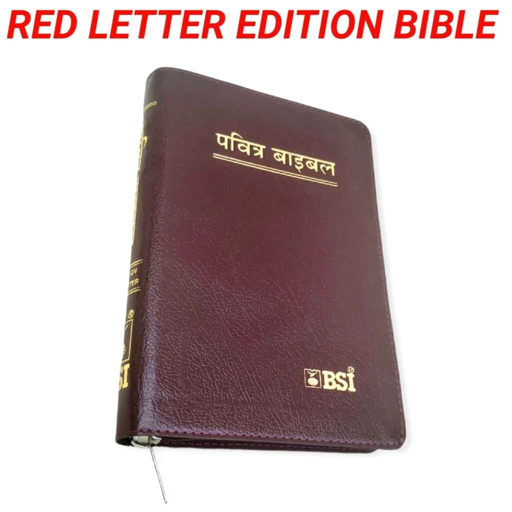 HINDI BIBLE WITH BIBLE COVER - HINDI BIBLE - NEW HINDI BIBLE