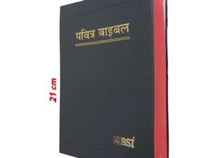 Holy Bible In Hindi | Hindi Bible | Pavitra Bible In Hindi | Bsi Hindi Bible
