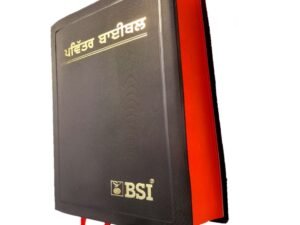 The Holy Punjabi Bible