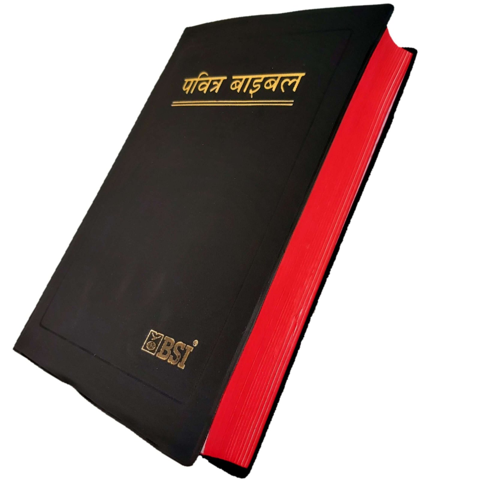 The Holy Hindi Bible | Pavitra Bible | 2022 New Edition Bible - Best Hindi  Bible