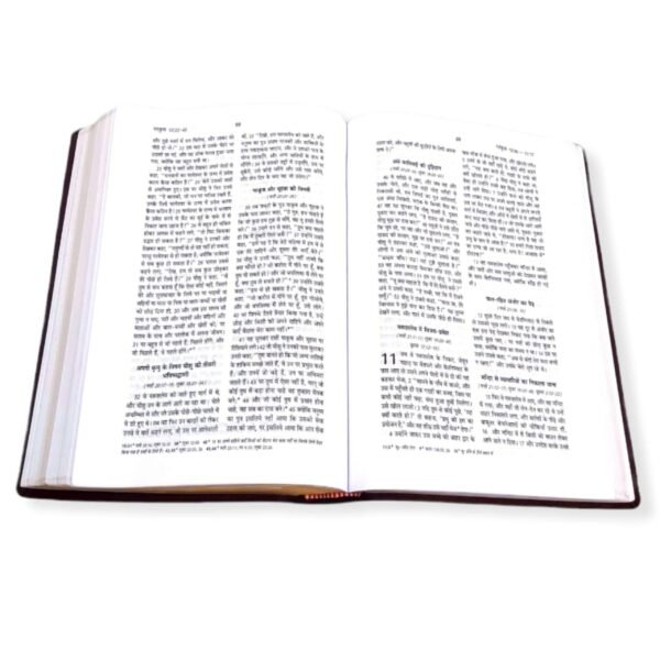 The Holy Pulpit Big Letter Golden Edge Bible In Hindi