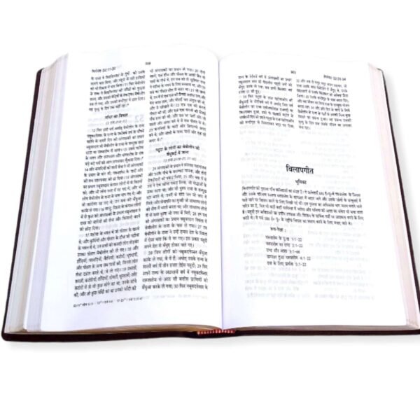The Holy Pulpit Big Letter Golden Edge Bible In Hindi