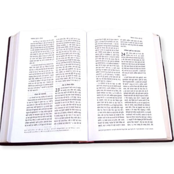 Holy Pulpit Big Letter Golden Edge Bible In Hindi