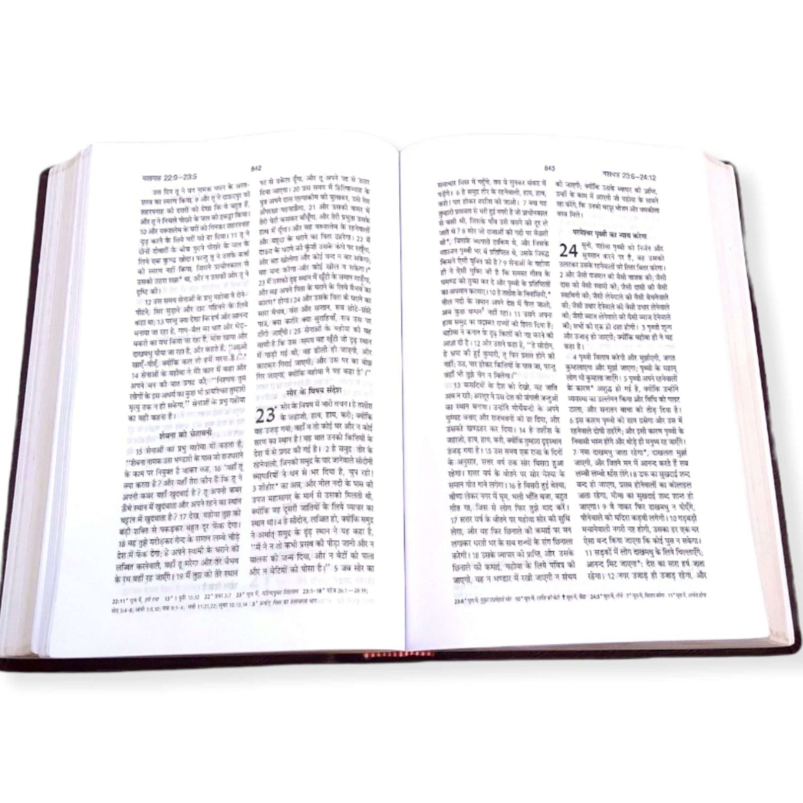 Holy Pulpit Big Letter Golden Edge Bible In Hindi